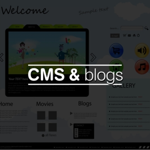  cms-blogs